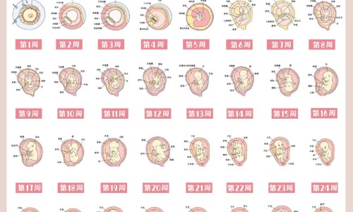 非索非那定片哺乳期可以用吗网 | 哺乳期可以吃非索非那定吗,盐酸非索非那定干混悬剂哺乳期可以吃吗
