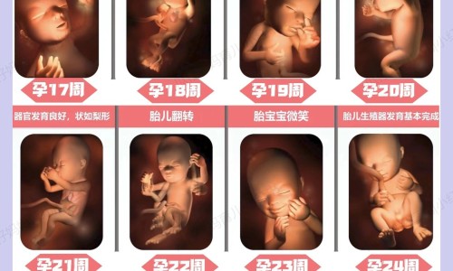 非索非那定片哺乳期可以用吗网 | 哺乳期可以吃非索非那定吗,盐酸非索非那定干混悬剂哺乳期可以吃吗